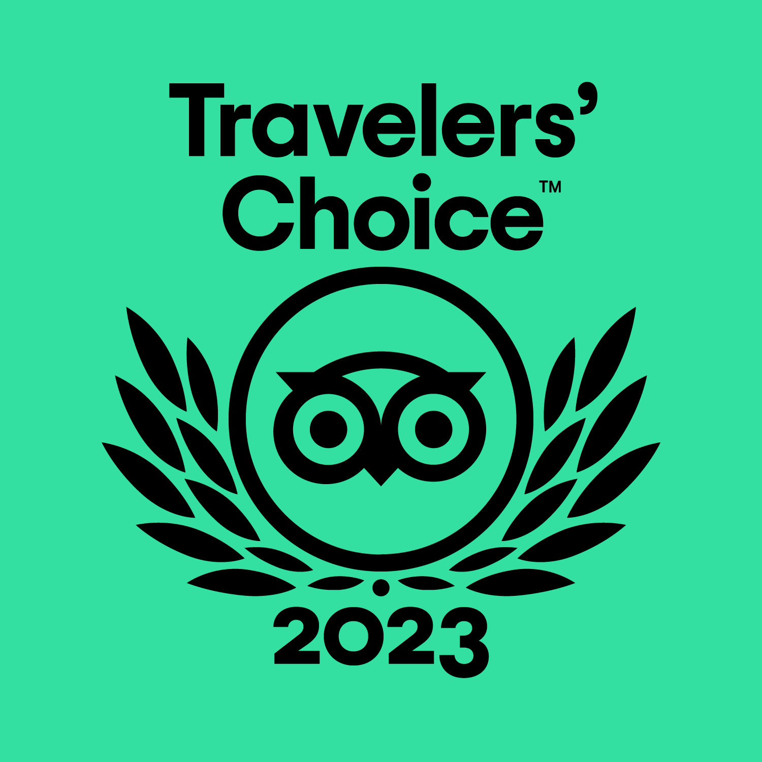 Trip Advisor Traveler's Choice Award logo